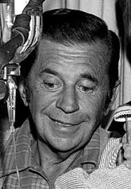 Morey Amsterdam