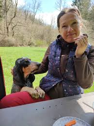 Image result for lucernský honič