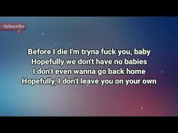 Before i die i m tryna f you baby hopefully we don t have no babies no guidance remix tiktok. Ayzha Nyree No Guidance Remix Lyrics