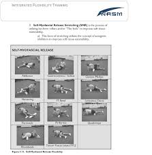 Alexanderfitness Page 3 Nasm Personal Training Study