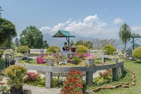 Get contact details and address| id: 6 Incredible Things To Do In Kalimpong While Your Visit 2019