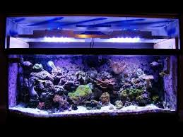 Diy How To Build An Led Reef Tank Light With Controller Youtube
