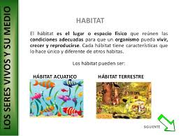 Resultado de imagen de diferentes clases de habitat