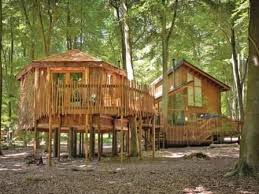 Conference meeting and event venue. 5 Best Treehouse Holidays 2021 Holiday Park Guru