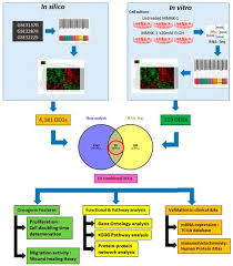 Tag #hpa_image to get featured. Ijms Free Full Text Integrative In Silico And In Vitro Transcriptomics Analysis Revealed Gene Expression Changes And Oncogenic Features Of Normal Cholangiocytes After Chronic Alcohol Exposure Html