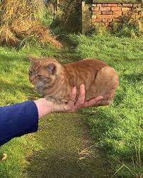 Sounds perfect wahhhh, i don't wanna. Richard On Twitter It S Dangerous To Go Alone Take This