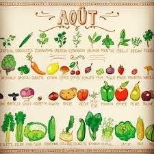 Epingle Sur Fruit Legumes
