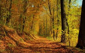 Su inicio y culminación nunca suceden en la misma fecha debido a que nuestro calendario ajusta un día cada cuatro años (año bisiesto) para compensar cada ciclo de 365,25 días (duración exacta de la órbita de la tierra alrededor del sol). Estaciones Del Ano En Mexico Turismo Org