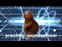 Grappige Liedjes Liedjes Grappig Youtube