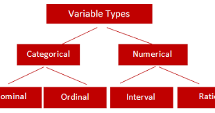 Each variable in c has a specific type, which determines the size and. Basic Statistics Types Of Variables