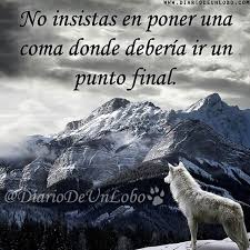 Resultado De Imagen Para Lobos Frases Frases Frases De Lobos Frases De Motivacion Personal