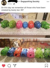 The latest tweets from the booty bunch (@thebootybunch). Beware Of The Booty Boy Album On Imgur