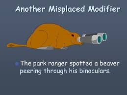 Check spelling or type a new query. Modifiers The Good The Misplaced And The Dangling Nec Facet Center Ppt Download