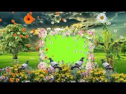 Fresh wind cute photo frame png free drawing. Wedding Photo Frame Green Screen Effect Full Hd Project 9 Youtube Framed Wedding Photos Green Screen Video Backgrounds Greenscreen