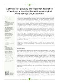 Image result for Styppeiochloa gynoglossa