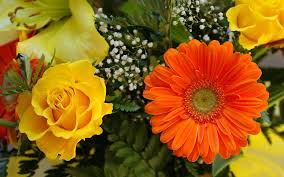 They can be used as wallpaper for your desktop, a screensaver for your mobile phone, a template for. Beautiful Flower Garden Images For Desktop 1920x1200 Wallpaper Teahub Io