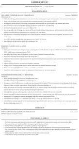 business analyst / data analyst resume