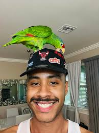 Hey Gypsies! Urgently looking for a room for Nov 1st, long-term or  short-term. My budget is 800-1200$ a month. Any area is acceptable.  Preferably a women-only apartment. I I've been living in