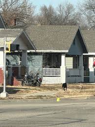 Seen at 12:45 pm, came from the East