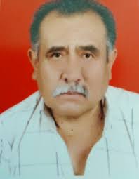 Plantel Docente electm