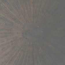 William Basinski Lawrence English Announce Collaborative Lp Selva Oscura