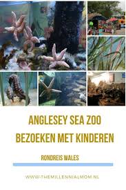 Anglesey Sea Zoo Anglesey Gezinsvakanties Wales