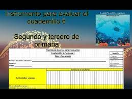 La próxima vez que vea el video, se reproducirá como un archivo descargado en lugar de reproducirse directamente desde internet. Instrumento Para Evaluar El Trabajo Del Cuadernillo 6 Youtube