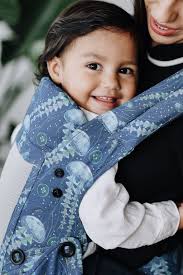 Summer sun is a perfect pairing with our returning print, Who's Jelly Now!  This deep ocean-themed design will be returning with breathable mesh as  Coast Explore, Free-To-Grow, Standard, and Toddler Carriers. And,