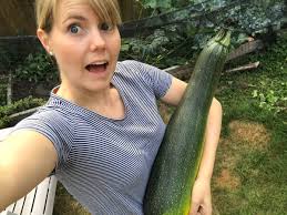 So bookman, kitchen wizard extraordinaire, shredded it and cooked it up in a double batch of zucchini bread. Amy Elderkin On Twitter I Grew This Giant Zucchini Can You Believe