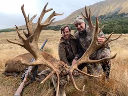 Hunt red stag, tahr, elk, chamois and wild ram in the mackenzie country of canterbury and hunt fallow, red stag and white tail in otago region of southland on the south island. Red Stag Manuka Point Lodge