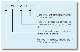 19b Permissions