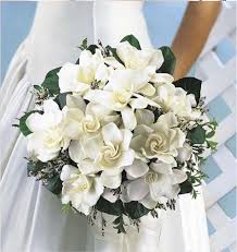 Hours may change under current circumstances Wedding Bridal Bouquets Wedding Bouquets Gardenia Wedding Flower Bouquet Wedding