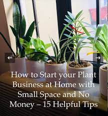 Start Your Plant Business At Home Home Gardening For Beginners In 2021 Plant Business Easy Plants To Grow Plants