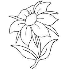 Two flowers with large petals. Top 47 Free Printable Flowers Coloring Pages Online