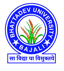 Bhattadev University