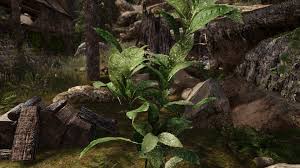 Skyrim 3d Landscapes Mod Features More Than 90 High Quality 3d Models For Trees Flowers And Plants Dsogaming