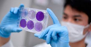 Biden should focus all his attention and effort on ensuring as many americans get vaccinated as fast as possible. Will There Be A Coronavirus Vaccine Maybe Not