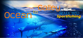 Order food online at the galley fish tacos, apple valley with tripadvisor: Ocean To Galley Fish Taco Searchersportfishing Com