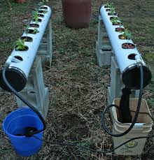Disarankan untuk menanam sawi hidroponik dengan menggunakan sistem wick atau sumbu karena lebih mudah. Cara Membuat Hidroponik