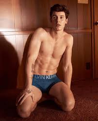 Zeitlos doch modern, klassisch und dennoch provokativ. Campaign Shawn Mendes For Calvin Klein Underwear 2019 By Glen Luchford Www Imageamplified Com Image Amplified4 Thumb Png Image Amplified