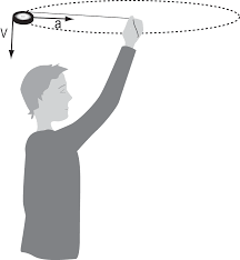 Inertia Activities Fun Science Physical Science Physics