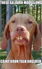 Redneck Dog Memes Gifs Imgflip