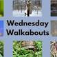 Wednesday Walkabout event image
