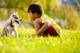 Franklin pest control is a locally owned and operated company that started some 29 years ago. Best Pest Control Nashville Tn Franklin Brentwood Tn Top Rated Exterminators Preventive Pest Control