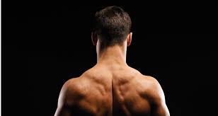 Areas of the back to work out. Shoulder Workout Routine To Add Serious Size To Your Shoulders Coach