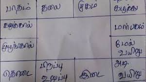 rasi palan chart in tamil bedowntowndaytona com