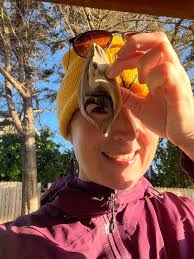 Danielle Beamer, Clinical Social Work/Therapist, Crested Butte, CO, 81224