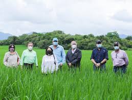 Laurentino 'Nito' Cortizo...