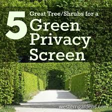 To receive additional discounts and helpful tips sign up for our weekly newsletter. How To Create A Green Privacy Screen Western Garden Centers