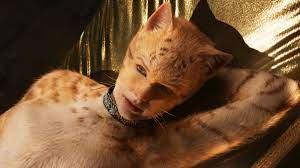 Cats Movie Review Answering Your Burning Questions